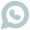 WhatsApp icon